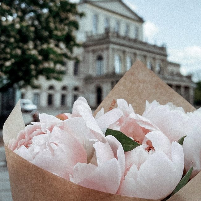 7 Orte, um Blumen selbst zu pflücken in und um Hannover
